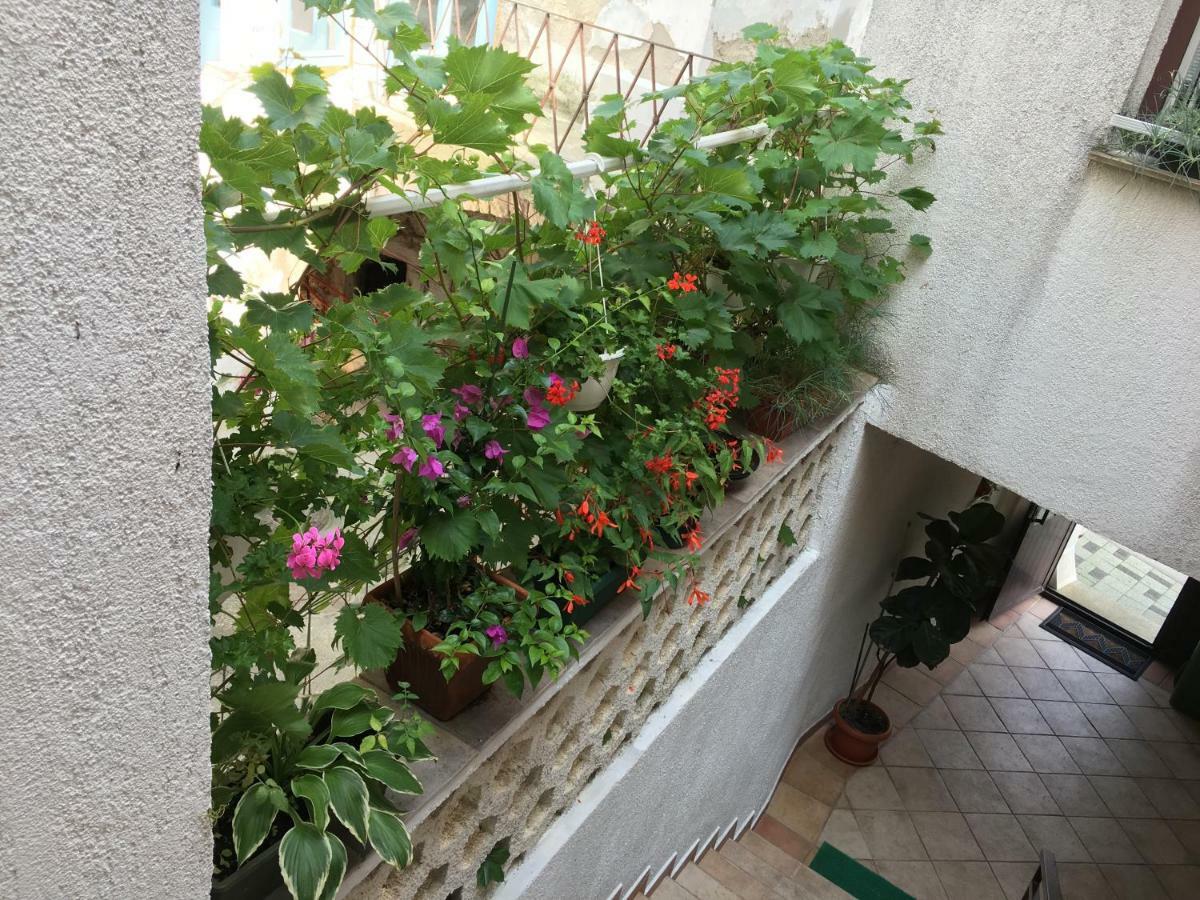 Apartment Lucija 诺维·维诺多尔斯基 外观 照片