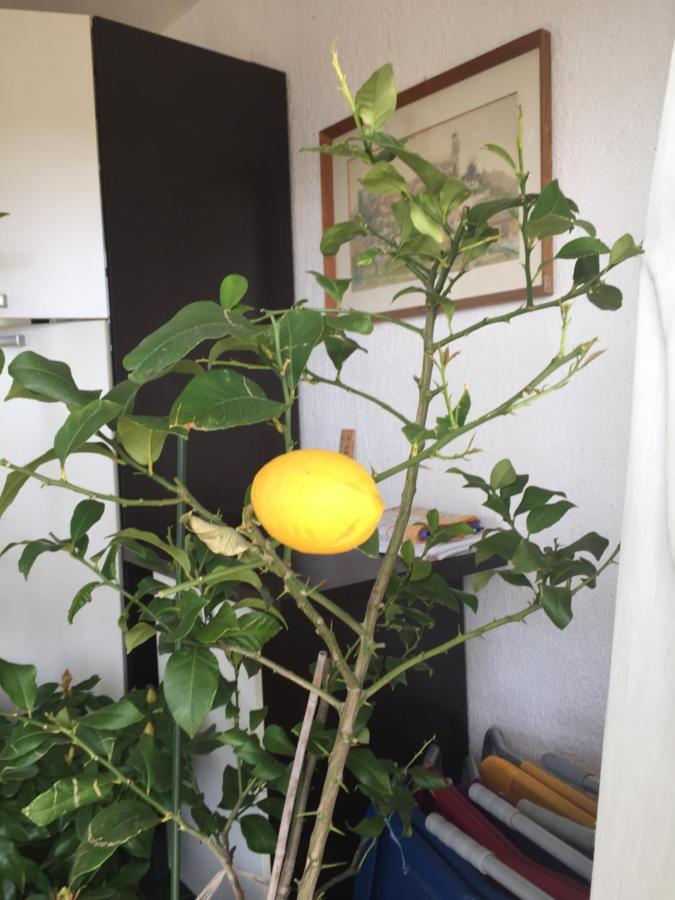 Apartment Lucija 诺维·维诺多尔斯基 外观 照片